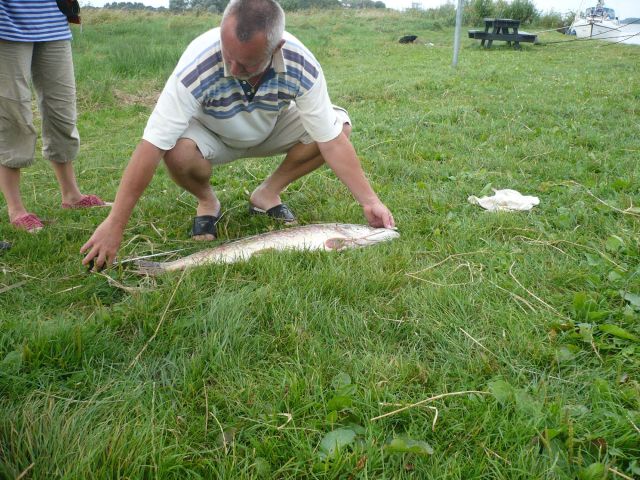 2009-08-Holandsko > obr (242)
